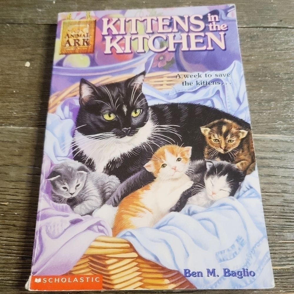 Vintage 90s 1994 Kittens in the Kitchen by Ben M. Baglio Scholastic Paperback